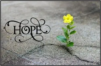 A yellow flower growing out of the ground with hope written underneath.