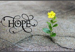 A yellow flower growing out of the ground with hope written underneath.